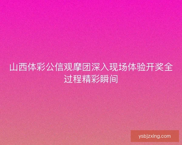 山西体彩公信观摩团深入现场体验开奖全过程精彩瞬间